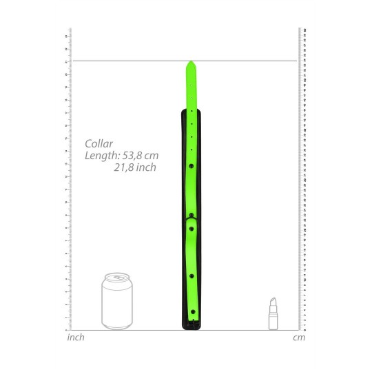 OUCH! COLLAR AND LEASH GLOW IN THE DARK