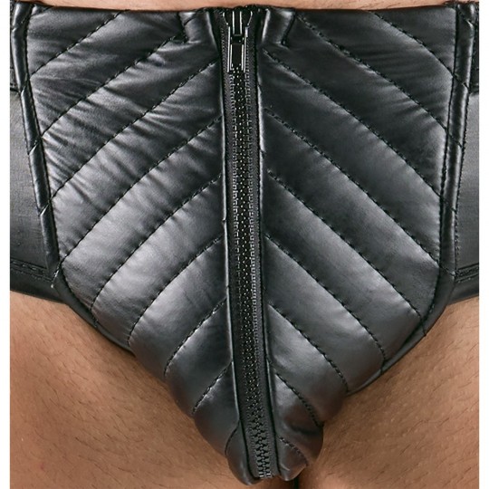 BRIEFS