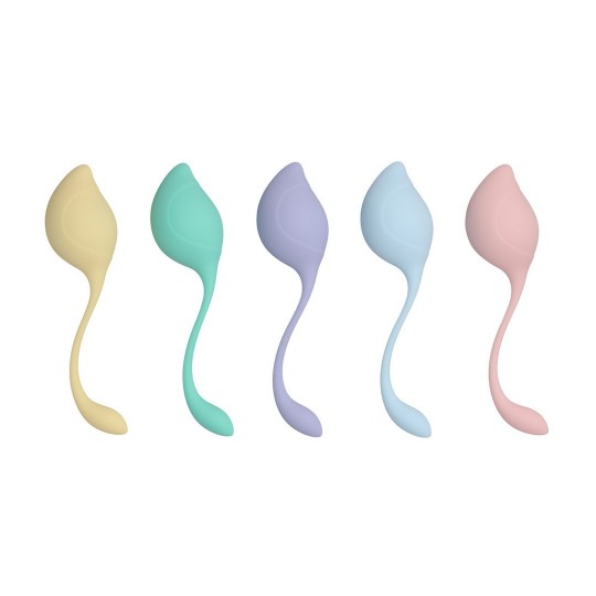 PELVIC STEM KEGEL KIT - MULTICOLOR