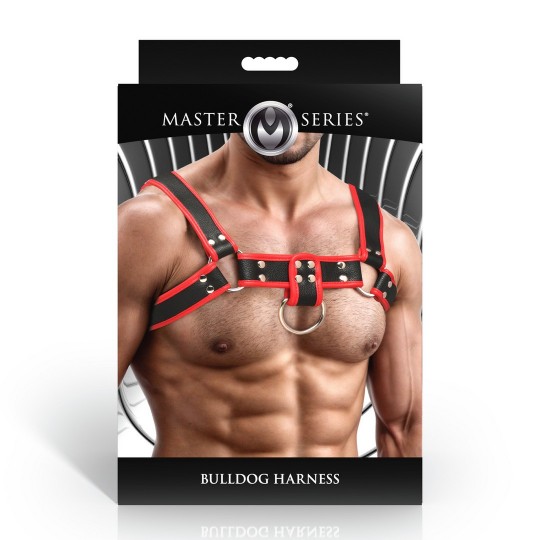 БУЛЬДОГ АРНЕС - РОХО