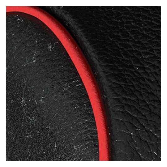 BDSM TORTURE HORSE 10009