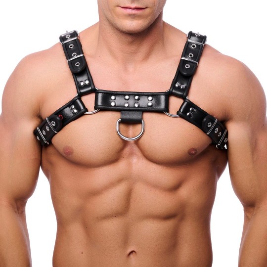 PREMIUM LEATHER HARNESS - BLACK