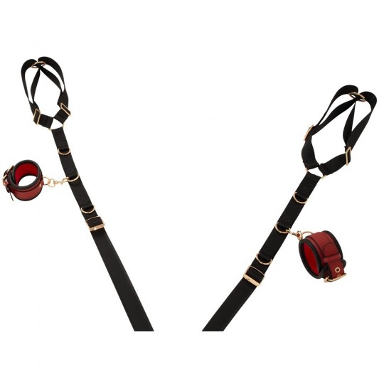 BED/DOOR RESTRAINT SET