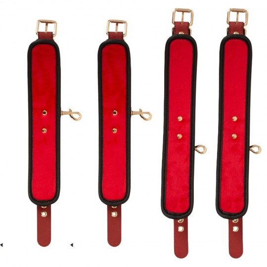 BED/DOOR RESTRAINT SET