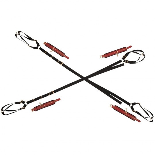 BED/DOOR RESTRAINT SET