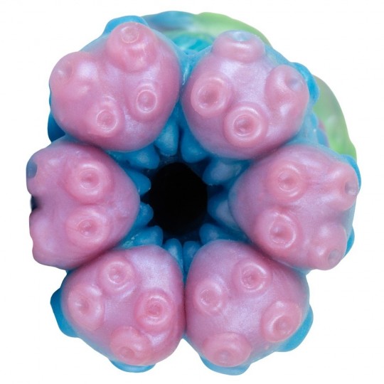 CECAELIA STROKER