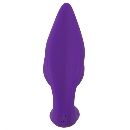 RC 2 IN 1 PLUG &amp; PANTY VIBE