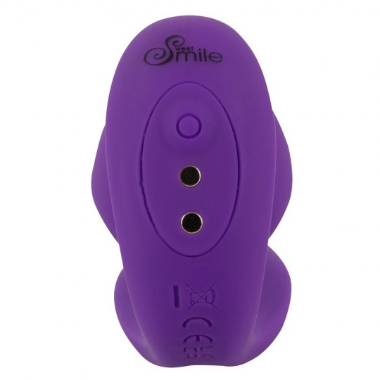 RC 2 IN 1 PLUG &amp; PANTY VIBE