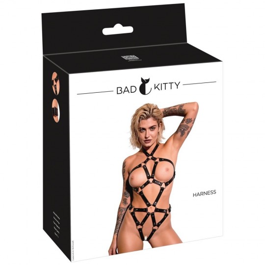HARNESS