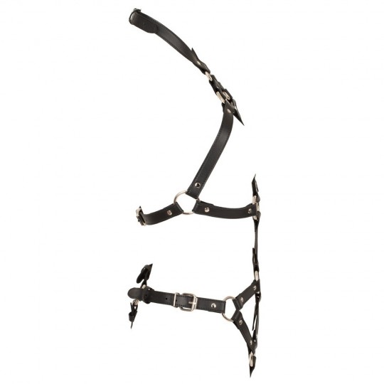 HARNESS