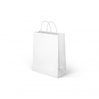 PAPER BAG WITH HANDLES WHITE 24 X 31 CM