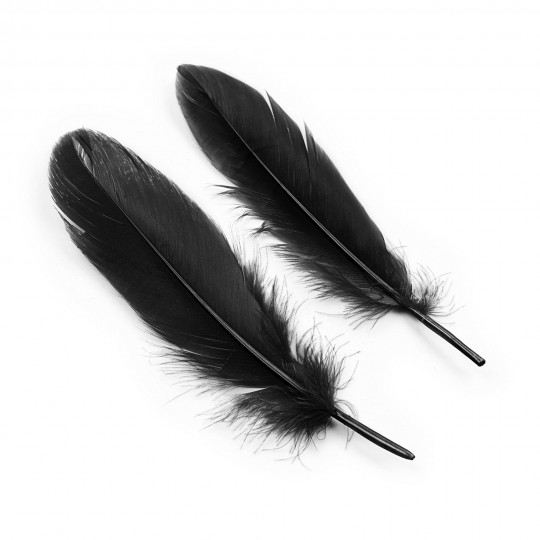 PACK OF 24 LOVER&#039;S DREAM BONDAGE KIT CRUSHIOUS BLACK