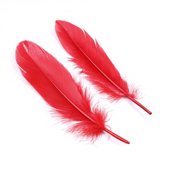 PACK OF 24 LOVER&#039;S DREAM BONDAGE KIT CRUSHIOUS RED
