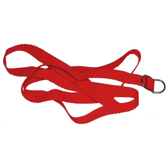 CATTIVO GATTINO SERVITÙ KIT