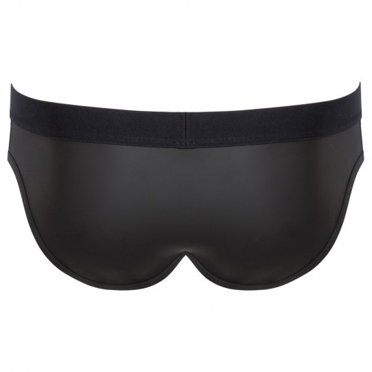 BRIEFS