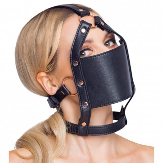 HEAD HARNESS WITH A GAG