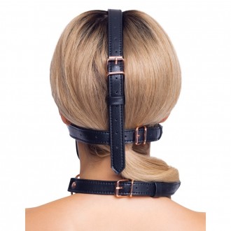 HEAD HARNESS WITH A GAG